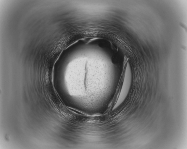 X0000096450504200802071815