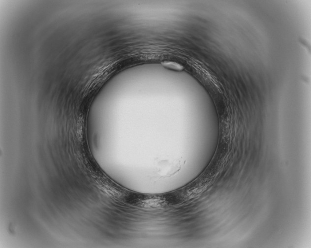 X0000096450505200802071815