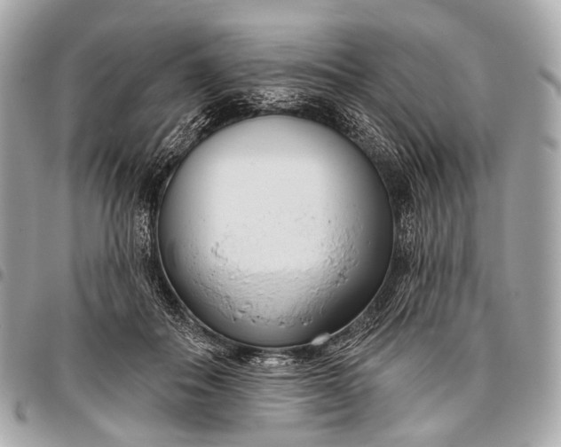 X0000096450506200802071814