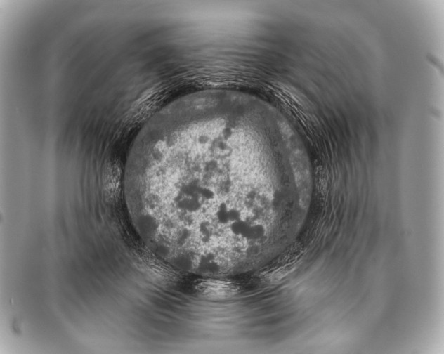 X0000096450507200802071814