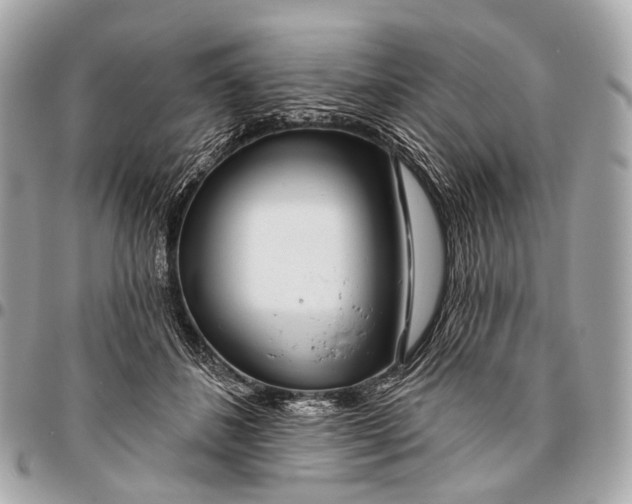 X0000096450508200802071814