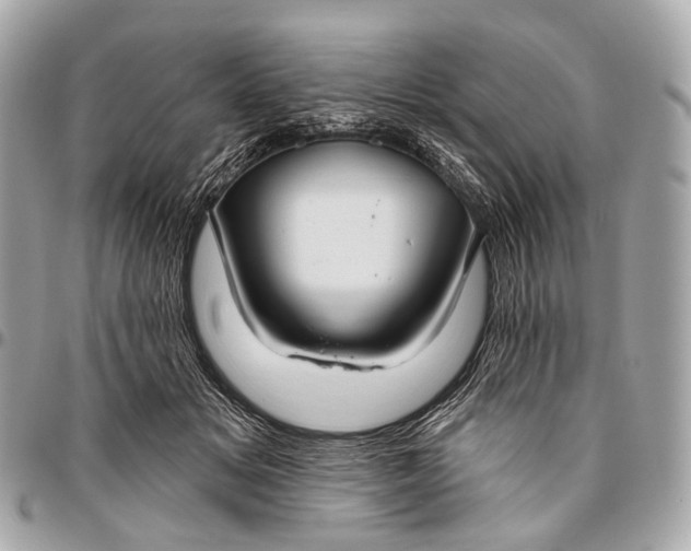 X0000096450509200802071814