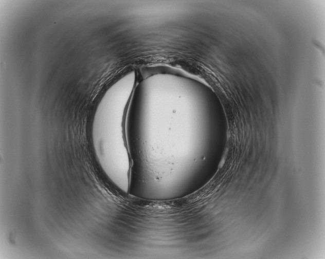 X0000096450512200802071814