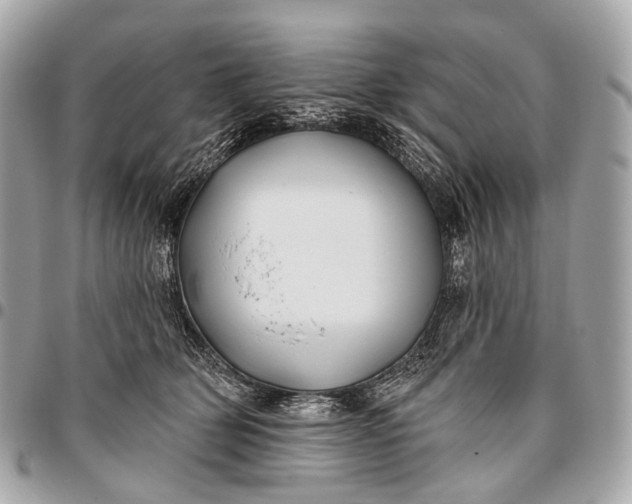 X0000096450514200802071814