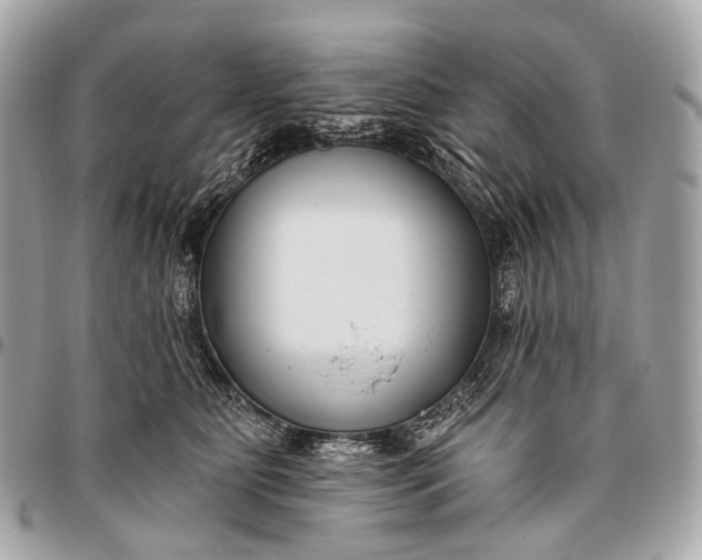 X0000096450515200802071814