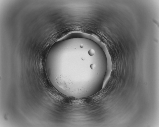 X0000096450516200802071814