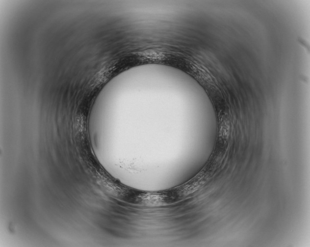 X0000096450518200802071814