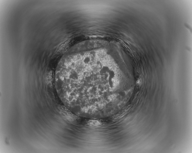 X0000096450519200802071814