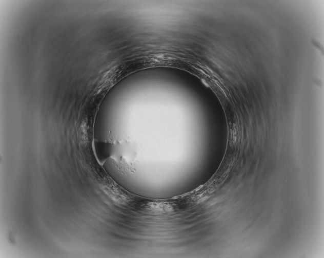 X0000096450520200802071814