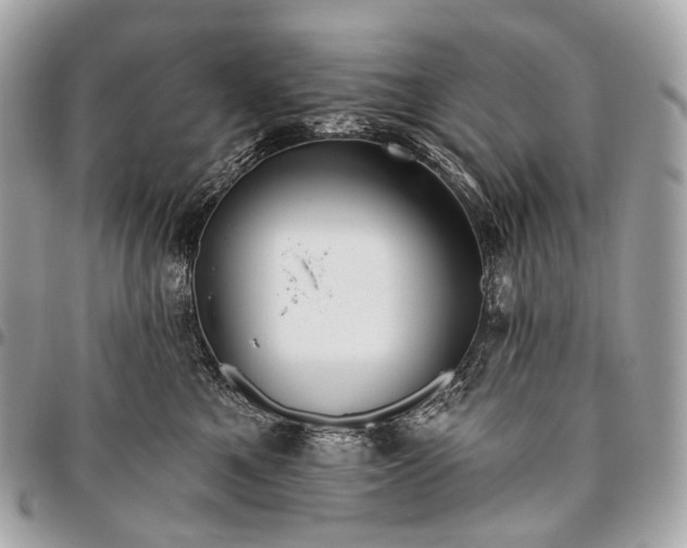 X0000096450521200802071814