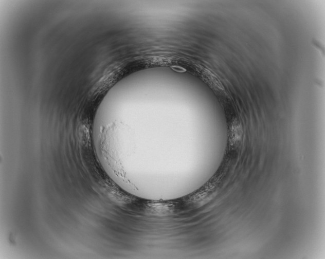 X0000096450522200802071814