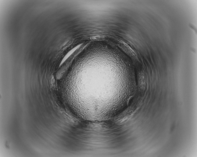 X0000096450523200802071814