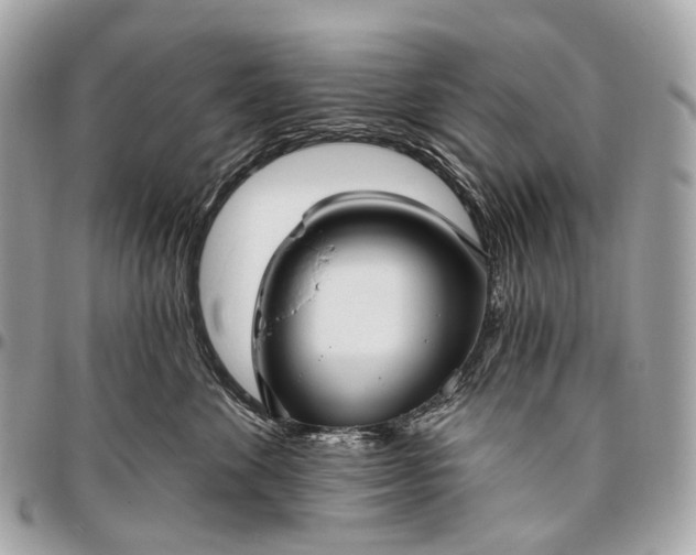 X0000096450524200802071814