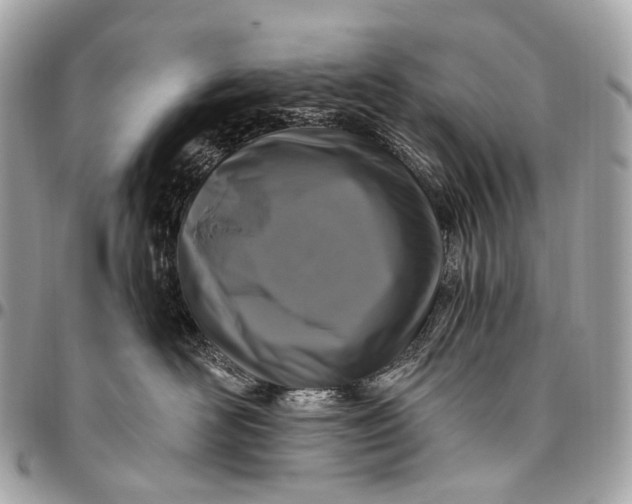 X0000096450526200802071814