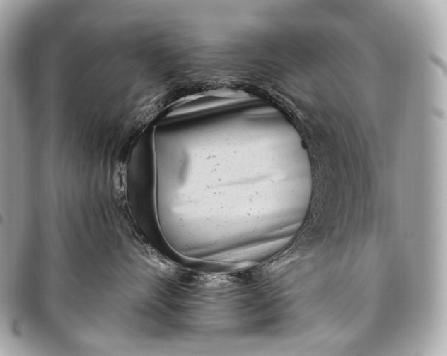 X0000096450528200802071814