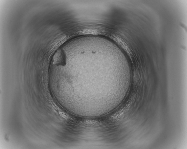 X0000096450529200802071814