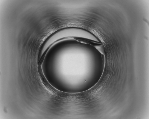 X0000096450530200802071814