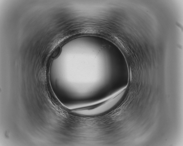 X0000096450531200802071814