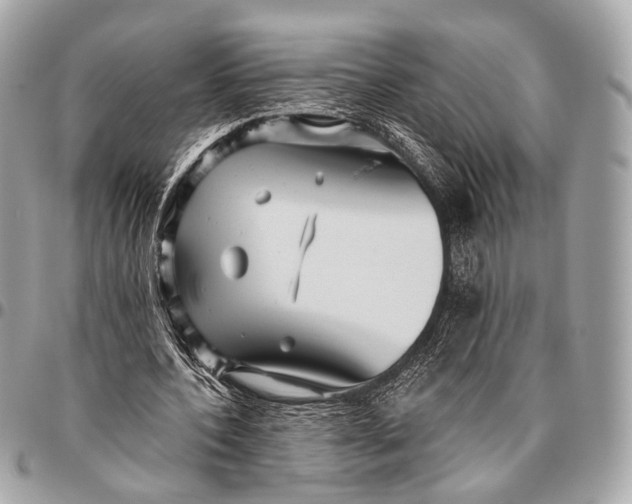 X0000096450532200802071814