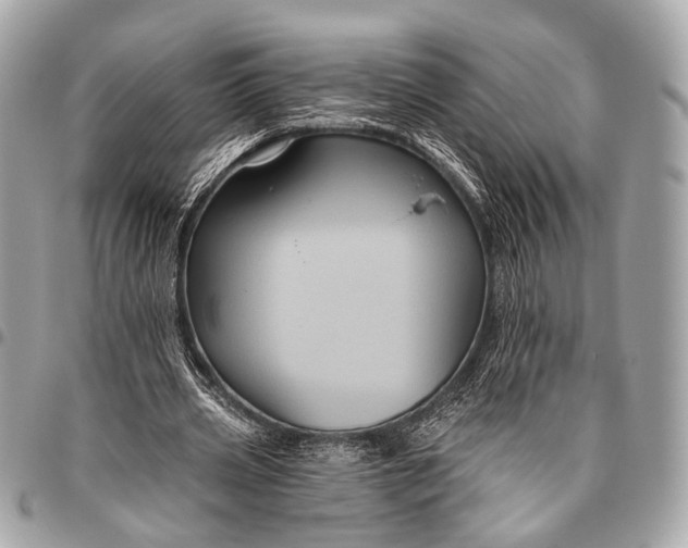 X0000096450533200802071814