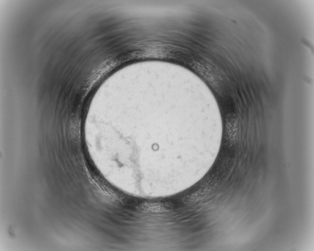 X0000096450534200802071814