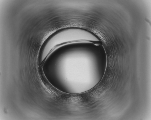 X0000096450536200802071814