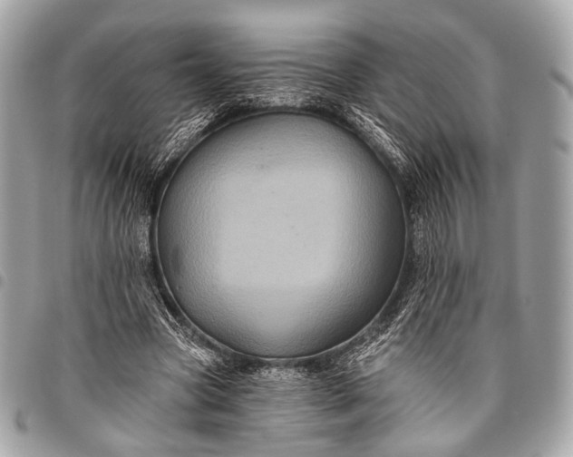 X0000096450537200802071814