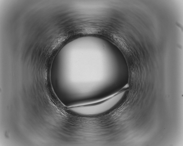 X0000096450539200802071814