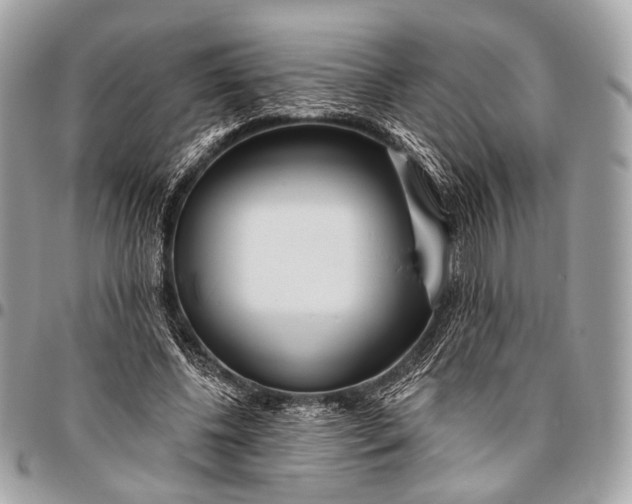 X0000096450540200802071814