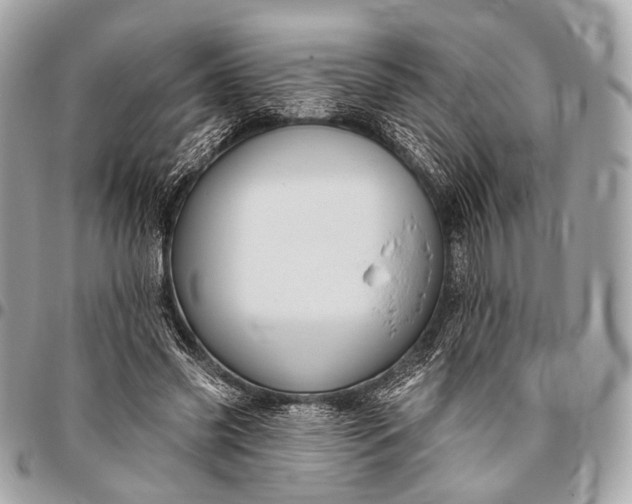 X0000096450541200802071814