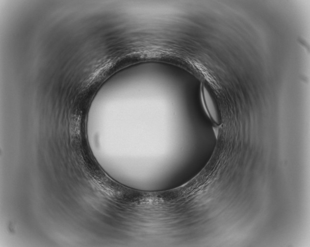 X0000096450543200802071814