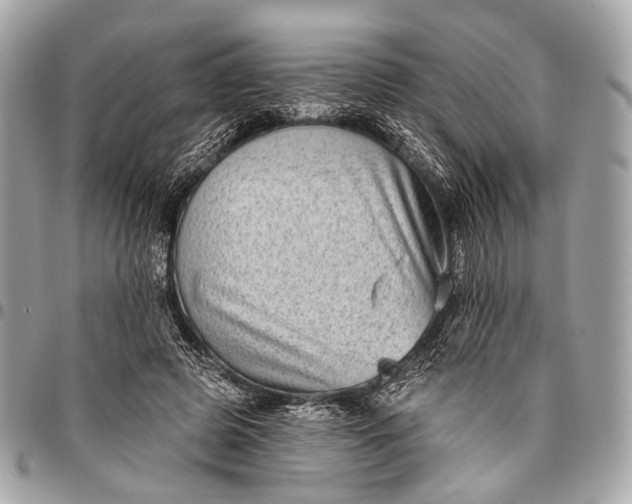 X0000096450545200802071814