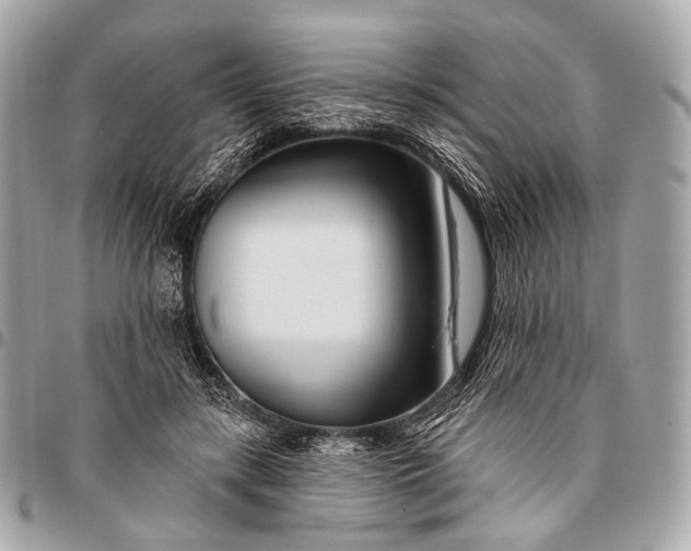 X0000096450547200802071814