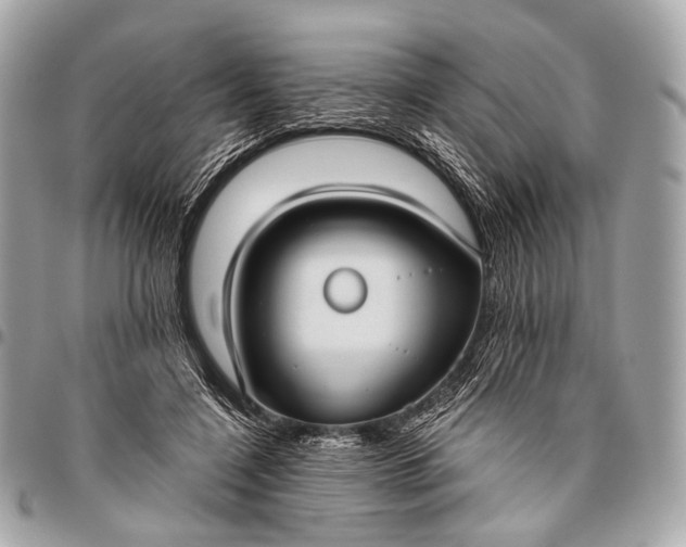 X0000096450548200802071814