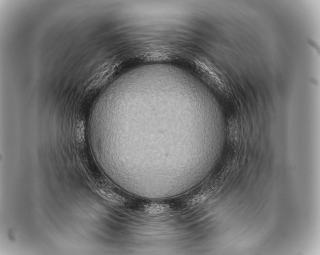 X0000096450549200802071814