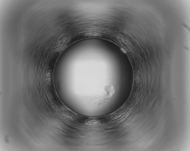 X0000096450551200802071814