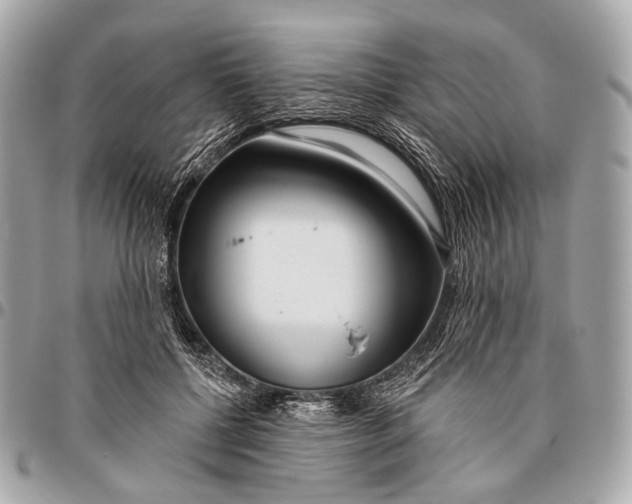 X0000096450552200802071814