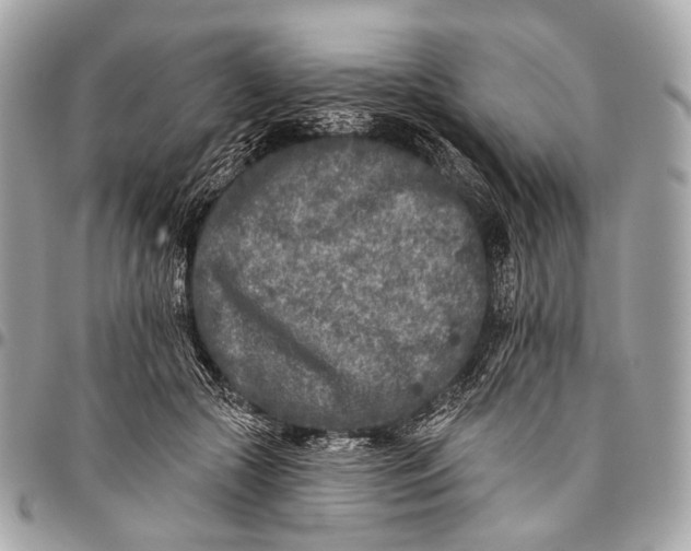 X0000096450553200802071814