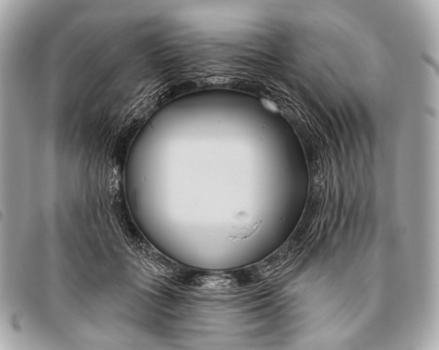 X0000096450555200802071814