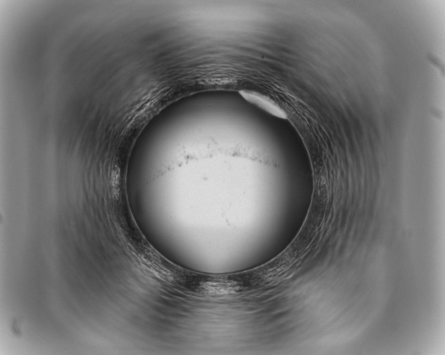 X0000096450556200802071814