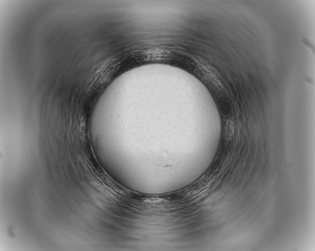 X0000096450557200802071814