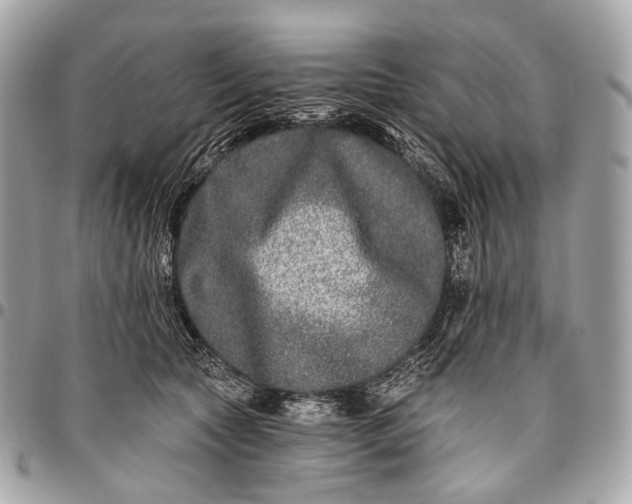 X0000096450561200802071814