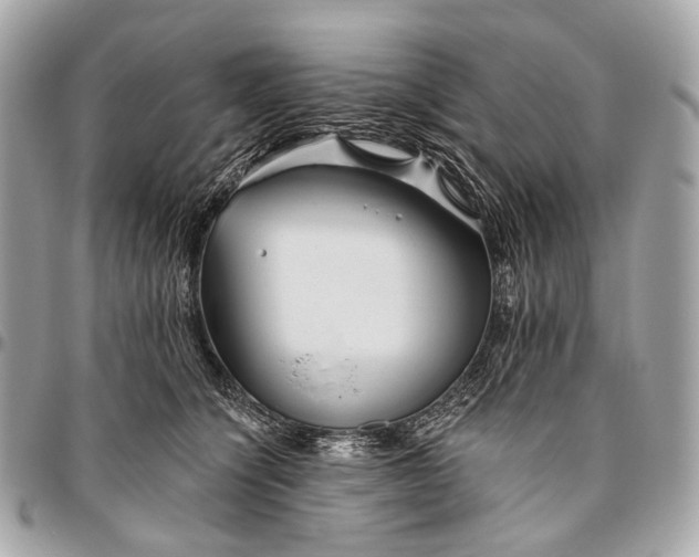 X0000096450564200802071814