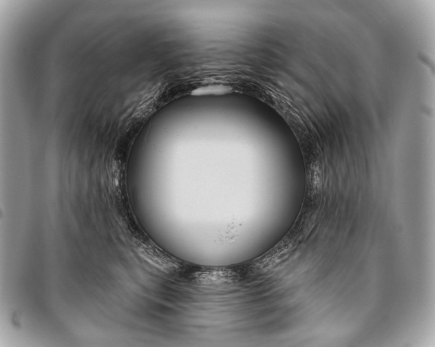 X0000096450567200802071814