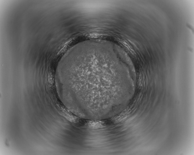 X0000096450569200802071814