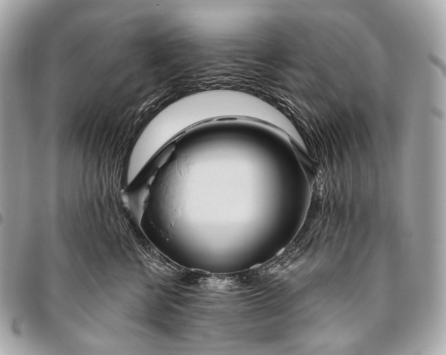 X0000096450570200802071814