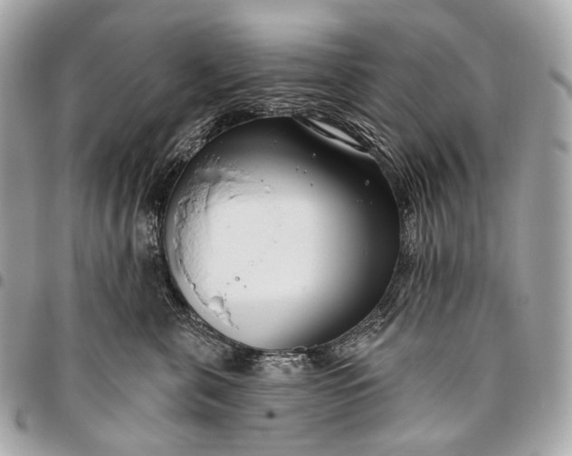 X0000096450571200802071814