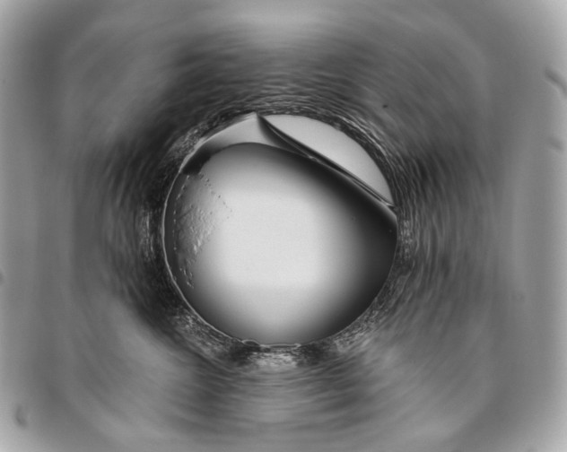 X0000096450572200802071814