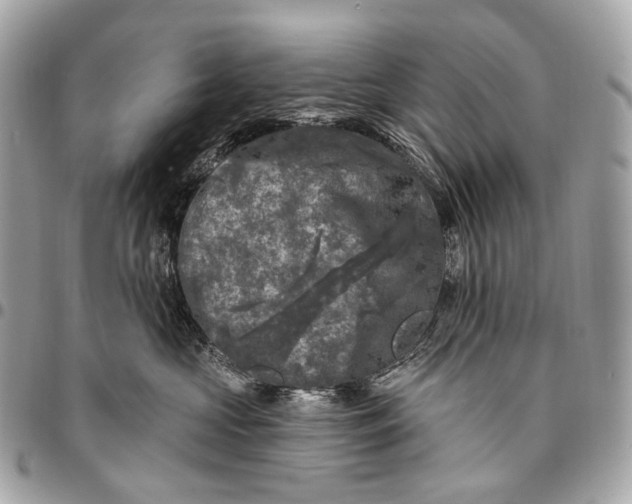 X0000096450573200802071814