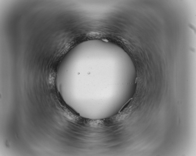 X0000096450576200802071814